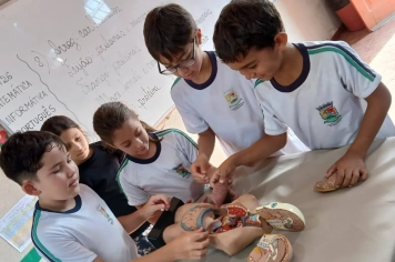 Alunos do 5º e 6º ano participam de atividade prática sobre o corpo humano.