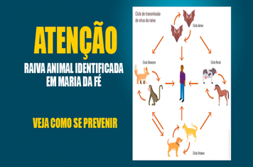 Raiva animal identificada em Maria da Fé. Veja como se prevenir: