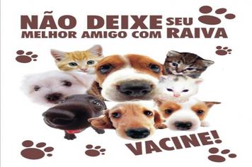 VACINE SEU CÃO E GATO CONTRA A RAIVA