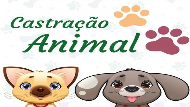 CASTRAÇÃO DE ANIMAIS